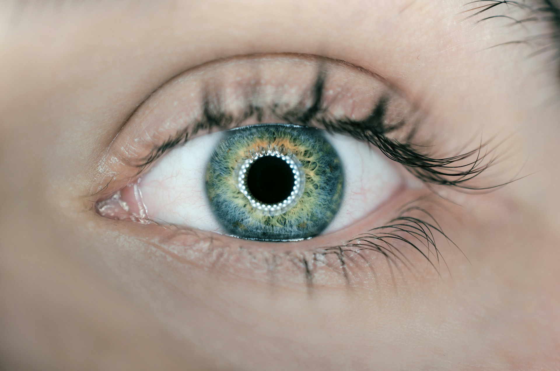 Close up image of an eye.